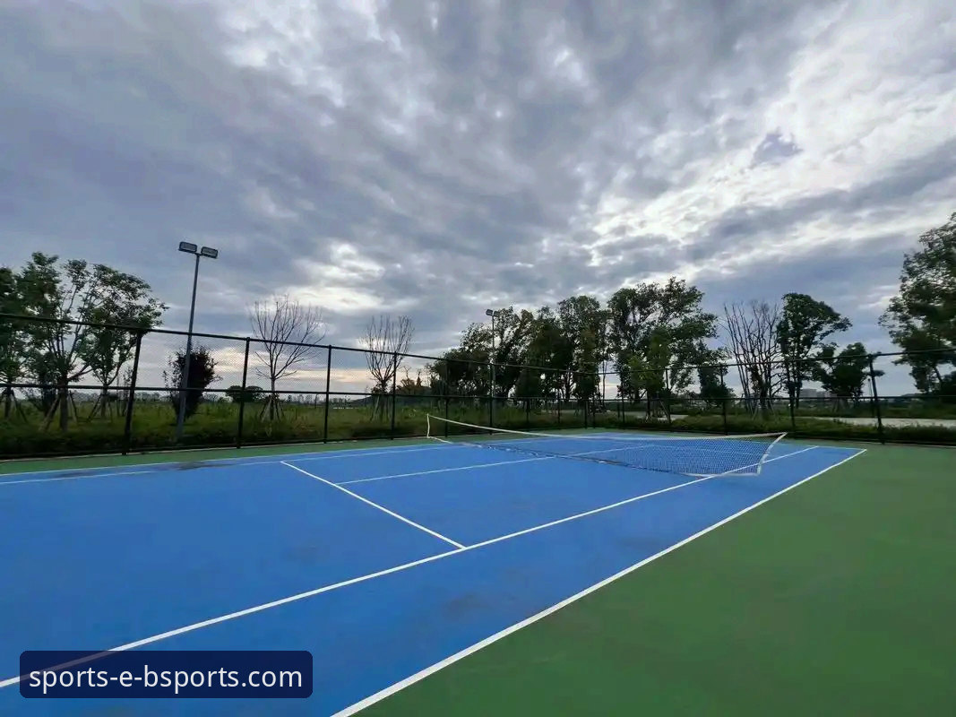 资深用户视角：从一场网球大师赛的意外，看体育资讯平台的深度价值